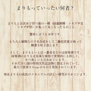 養殖マリモ 5個入り コルク ガラス瓶 マリモ...の詳細画像4