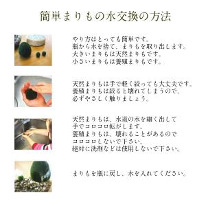 養殖まりも2個入り ミネラル鉱石入り コルク瓶...の詳細画像5