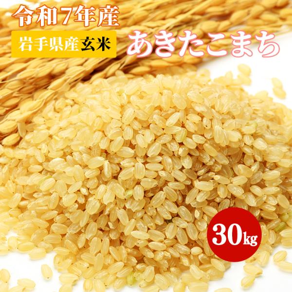 玄米 令和7年産 岩手県産 あきたこまち 30kg お米 国産 紙袋 送料無料