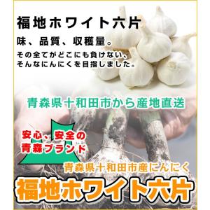 【産地直送!】令和7年産 にんにく A品Mサイ...の詳細画像4