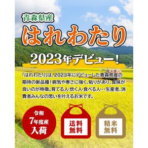 令和7年産 特A米(白米)青森県産 はれわたり...の詳細画像1
