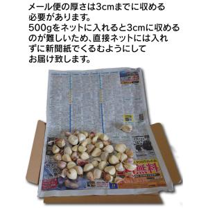 訳あり にんにく 粒不揃い 青森県産にんにく ...の詳細画像3