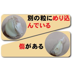 訳あり にんにく 粒不揃い 青森県産にんにく ...の詳細画像5