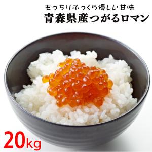 令和6年産 つがるロマン 20kg お米 白米 精米 青森県産 10kgｘ2袋 小分け 送料無料