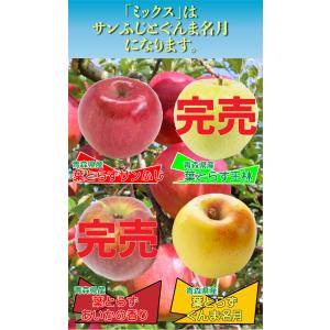 令和7年 青森県産 訳あり りんご 10kg ...の詳細画像1