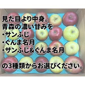令和7年 青森県産 訳あり りんご 10kg ...の詳細画像2