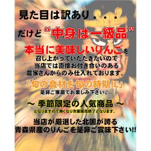 令和7年 青森県産 訳あり りんご 10kg ...の詳細画像3