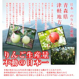 令和7年 青森県産 訳あり りんご 10kg ...の詳細画像4