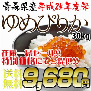 【送料無料】★北海道産ゆめぴりか30kg☆