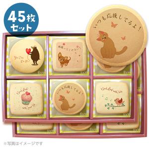 サンリオキャラクター ハローキティ クッキー 個包装 1ヶ入 : 製菓