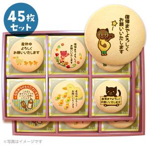 産休 お菓子 あいさつ 元気なベイビー 個包装で配りやすい メッセージ