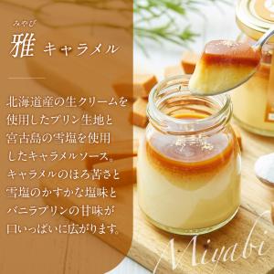夏ギフト 天空のプリン 雅×潮 キャラメル 塩...の詳細画像4