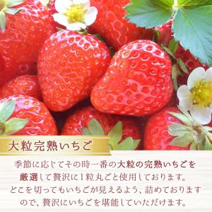 夏ギフト 送料無料 大粒いちご 天空のいちごロ...の詳細画像3