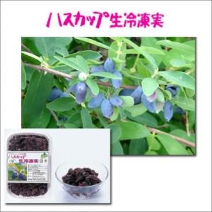 ハスカップ  生冷凍実