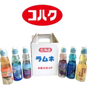 小樽コハク野島製菓 北海道限定ラムネ 6本セット
