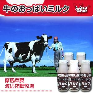 北海道摩周草原 渡辺体験牧場 牛のおっぱいミルクコーヒー牛乳 5本セット｜kitaiti