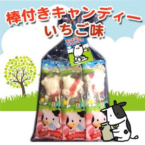 北海道渡辺体験牧場／摩周草原 棒付きキャンディー　いちご味