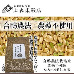 合鴨農法米ななつぼし 玄米 1kg 北海道産 農薬不使用玄米