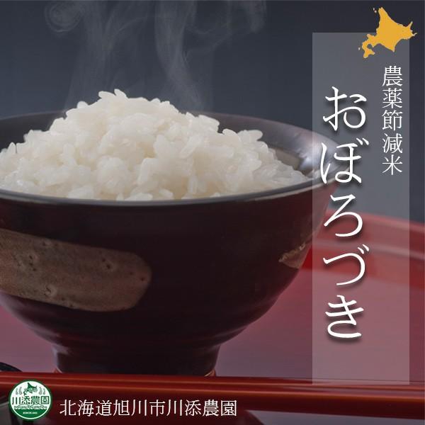 ＜農家直送＞2025年度産北海道産米 おぼろづき白米 農薬節減米 10kg 北海道旭川市の川添農園よ...