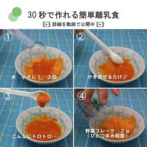 2026 離乳食 ベビーフード 北海道産 お試...の詳細画像2