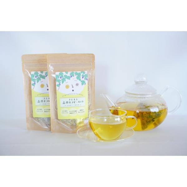 北本森林セラピーティー（大2袋）