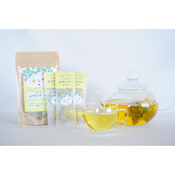 北本森林セラピーティー（大１袋小3袋）