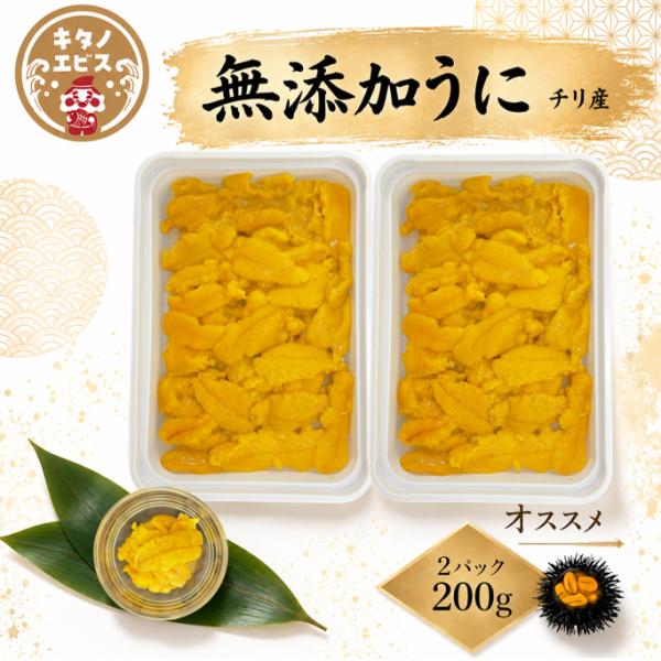 (100g×2P)冷凍ウニ　ブランチウニ　お刺身用　無添加　チリ産 生食用 濃厚 海鮮丼 お取り寄せ...