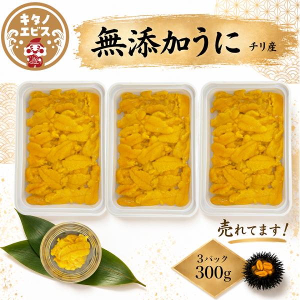 (100g×3P)冷凍ウニ　ブランチウニ　お刺身用　無添加　チリ産 生食用  ミョウバン不使用　大容...
