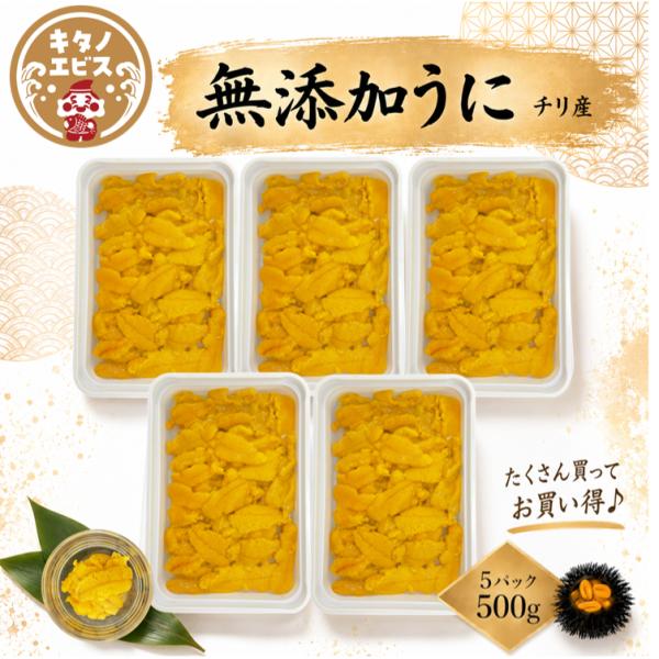 (100g×5P)冷凍ウニ　ブランチウニ　お刺身用　無添加　チリ産 生食用 ブランチ製法 ミョウバン...