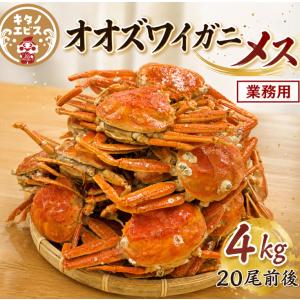 業務用特価 (4k)メスオオズワイガニ姿 北海道産 外子を味わう商品 大容量