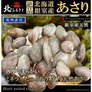 北海道 根室産 あさり 中サイズ 2kg ( 1kg入り×2 ) 砂抜き済み