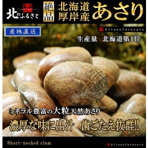 北海道 厚岸産 あさり 特大 サイズ 1kg 30粒前後 産地直送