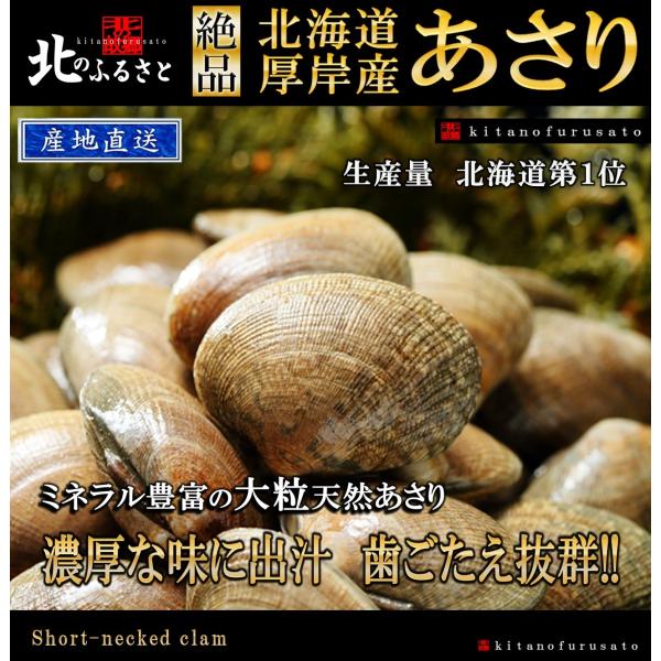 北海道 厚岸産 あさり 特大サイズ 3kg 90粒前後 産地直送 国産 アサリ 浅利 貝 かい カイ...