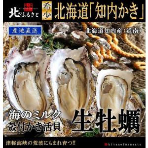 北海道 知内産　殻付 生牡蠣 Mサイズ × 10個 【産地直送】  カキ かき 牡蠣 BBQ 生 知内 殻付き 貝 生 生カキ 生かき｜kitanofurusato-tda