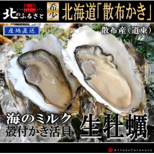 北海道 浜中産 ( 火散布沼 ) 殻付 生牡蠣 2Lサイズ × 10個 【産地直送】 カキ かき 牡蠣 BBQ 生 厚岸｜kitanofurusato-tda