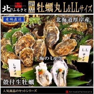 殻付き 生牡蠣 マルえもん L ＆ LLサイズ 少量 セット カキナイフ 軍手付 北海道 厚岸産 牡蠣 かき カキ 生食用 カイ 生 産地直送 贈答 贈り物 お歳暮 お正月｜kitanofurusato-tda