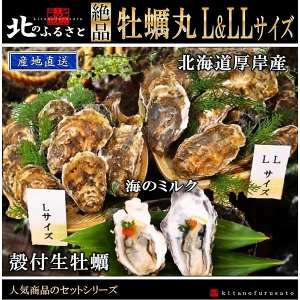 殻付き 生牡蠣 マルえもん L ＆ LLサイズ 満足 セット カキナイフ 軍手付 北海道 厚岸産 牡...