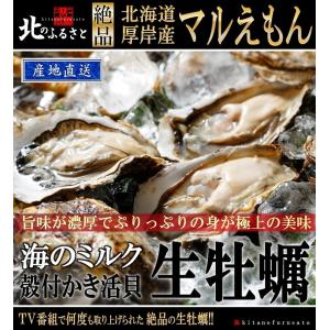 北海道 厚岸産 マルえもん 生 牡蠣 殻付き Lサイズ 50個 カキナイフ 軍手付 産地直送 90〜120g未満/個 カキ かき 生食用 生牡蠣 ギフト お歳暮 お正月｜kitanofurusato-tda