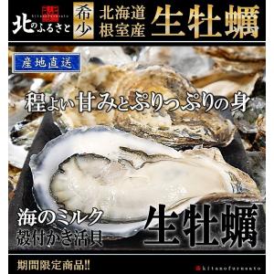 生牡蠣 Mサイズ × 10個 (120g未満) 北海道 根室産 (温根沼産) 殻付き 牡蠣 かき カキ 殻付 ギフト 贈答品 大サイズ｜kitanofurusato-tda