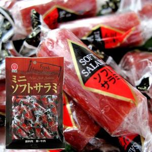 ミニソフトサラミ40g 江戸屋 ひと口サラミ ス...の商品画像