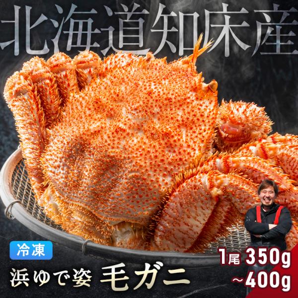 【3個まとめ買いで4,500円OFFクーポン!】毛ガニ 北海道 知床産 350g〜400g 【浜茹で...