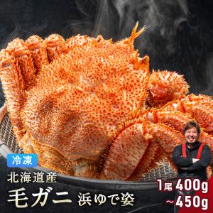 北海道産 毛ガニ 400g〜450g 【浜茹で急速冷凍 姿】 毛蟹 毛カニ 毛かに 毛がに カニ 蟹