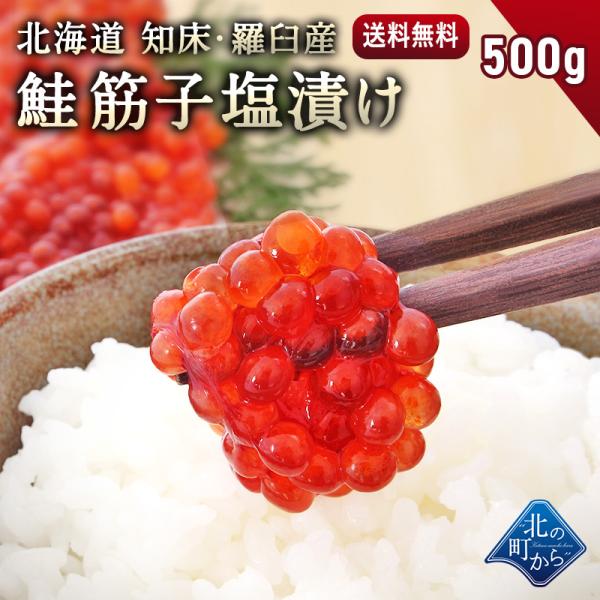 鮭筋子 北海道 知床・羅臼産 500g 塩漬け 熟成されたコクや旨味！ すじこ スジコ 筋子 国産