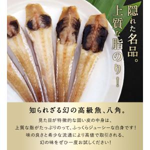 八角 北海道 知床・羅臼産 八角一夜干し 1袋...の詳細画像2