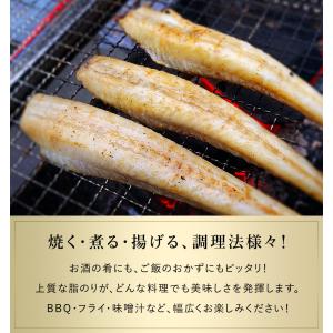 八角 北海道 知床・羅臼産 八角一夜干し 1袋...の詳細画像4
