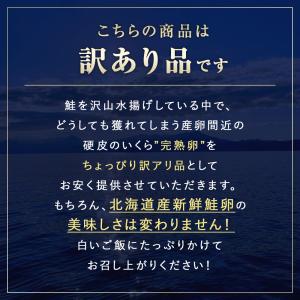【期間限定23%OFF!11,800円⇒8,9...の詳細画像3