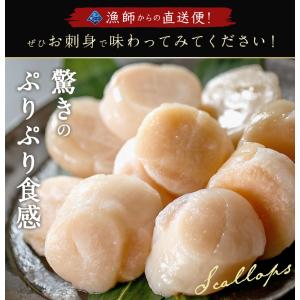 【期間限定13%OFF!13,800円⇒11,...の詳細画像4