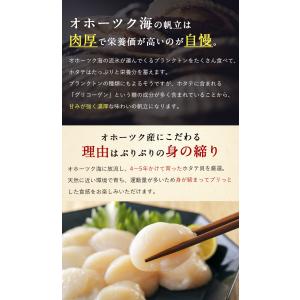【期間限定13%OFF!13,800円⇒11,...の詳細画像5