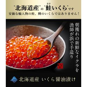 【期間限定50%OFF!49,750円⇒24,...の詳細画像2