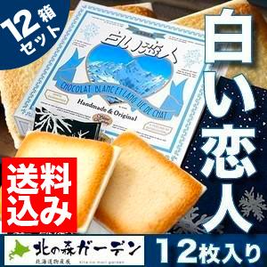＜送料込＞ISHIYA（石屋製菓）白い恋人【12枚入】12セット 常温発送 北海道 お土産  スイー...
